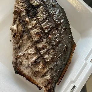 a fish in a styrofoam container
