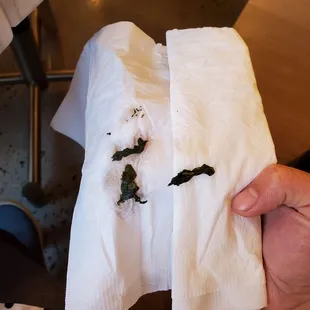 Rotten lettuce...