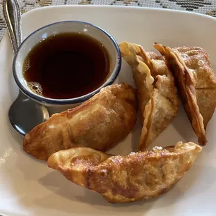 Pot Stickers