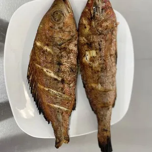 two fish on a plate