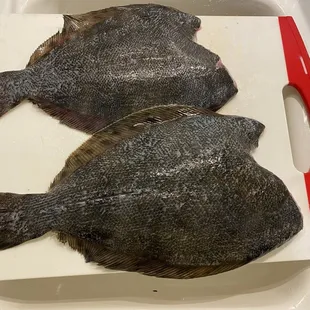 Fresh off the boat flounder. Prepared exactly as you request, just like all the other fresh catch.
