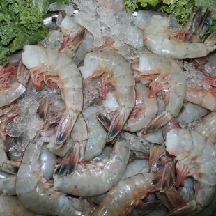 FRESH SHRIMP!