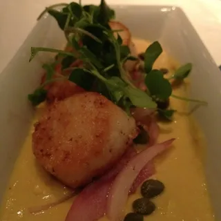 Scallops