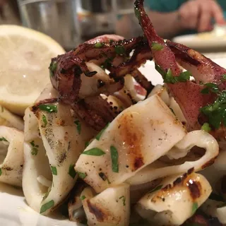 Calamari