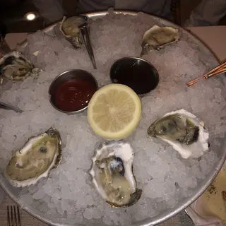 Oysters