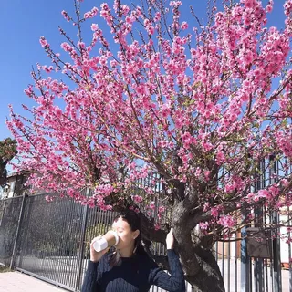 Gabriella A.