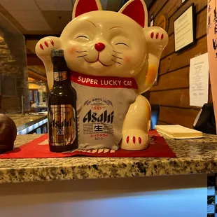 Entry cat