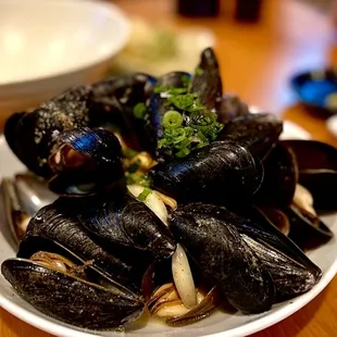 Steamed Mussel