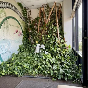 a wall covered in plants