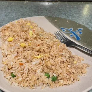 Kyoto Special Hibachi Fried Rice