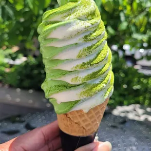 Kyoto Matcha - Towson