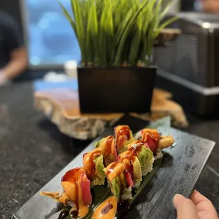 Kyoto Nora