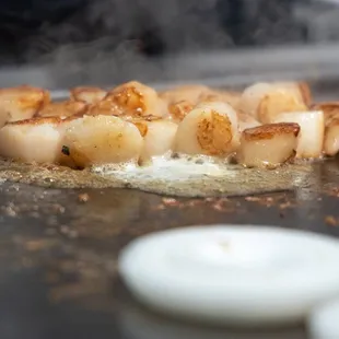 Kyoto Palace Japanese Steakhouse