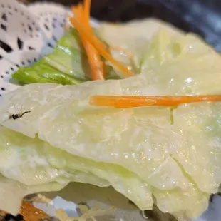 Ordered a bento box &amp; I got a little friend mixed into my salad! Spoke to staff, they said It must have not been washed enough. Grossss!