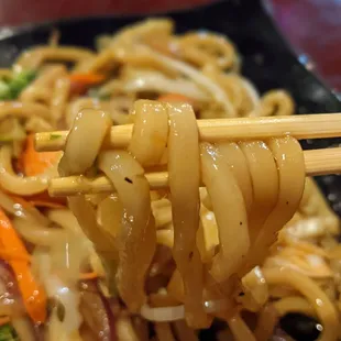 Udon is fantastic!