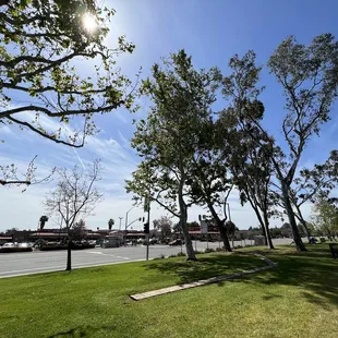  a view of a street with trees in the foreground