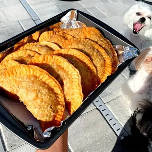 a dog and a tray of empanadas