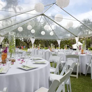 photo by stephane lacasa