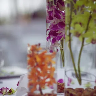 photo by stephane lacasa