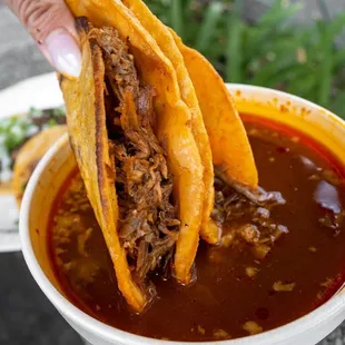 a hand holding a tortilla