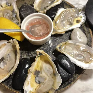 Oysters