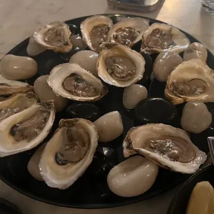 Oyster