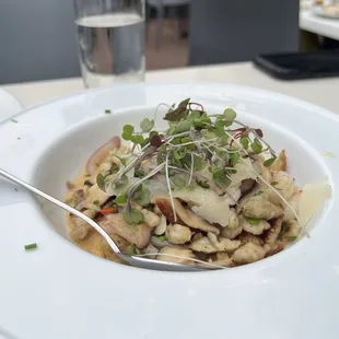 pasta dish, pasta, food