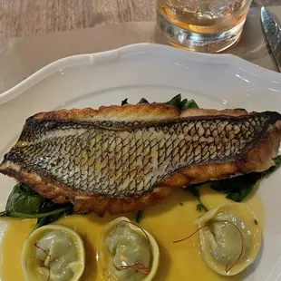 Black Sea Bass