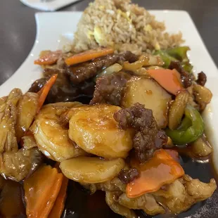 Chicken and Shrimp stir fry.