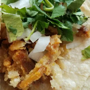Pork Skin Taco.