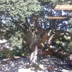 Great view from wc office