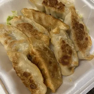 Pan fried dumplings