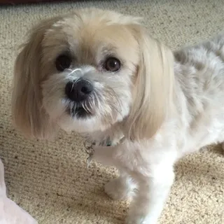 Sophia M.