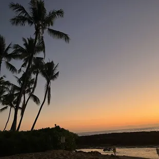 Sunset dinner