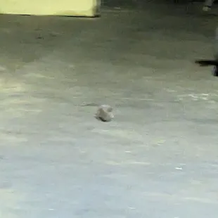 More L&amp;L Naturally Sourced Hawaiian BBQ