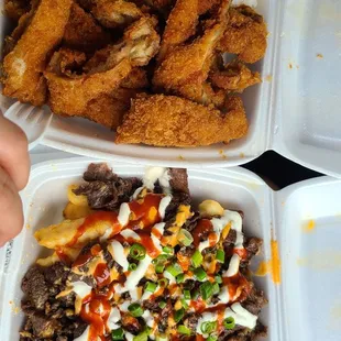 Katsu plate, bulgogi fries