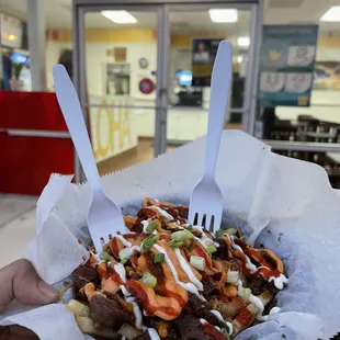 Bulgogi Fries