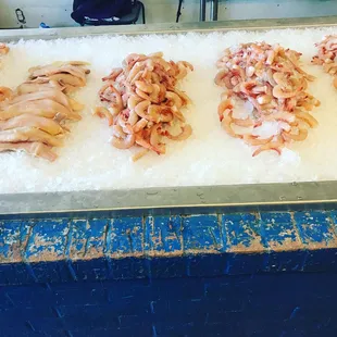 a display of seafood on ice