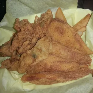 Tilapia