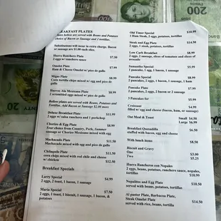 a hand holding a menu