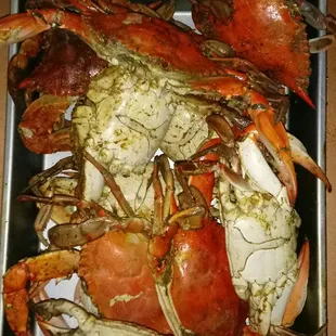 a plate of steamed crabs