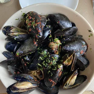 Mussels