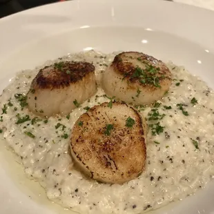Truffle Scallop Risotto