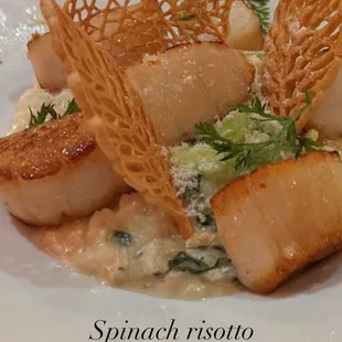 Scallops risotto