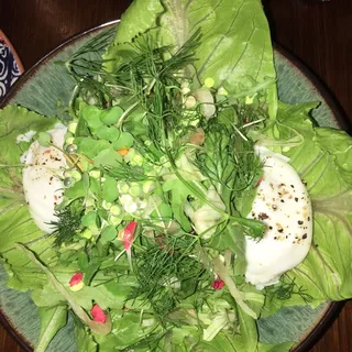 Green Salad