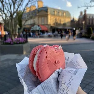 Seasonal Macaron Sandwich