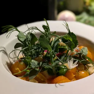 @endoedibles on Instagram 08/26/24  LA TOMATE - tomato, fromage blanc mousse, pine nut