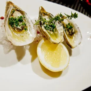 Poached Baby Kussi Oysters
