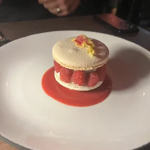 Raspberry Macaron