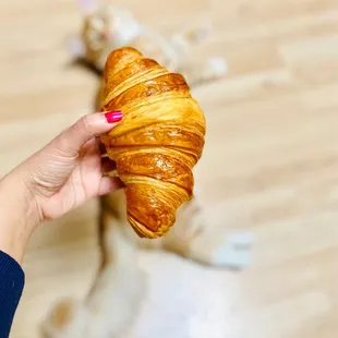 Kitty croissant